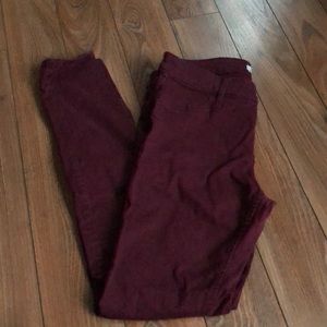 Hollister Maroon Jeans